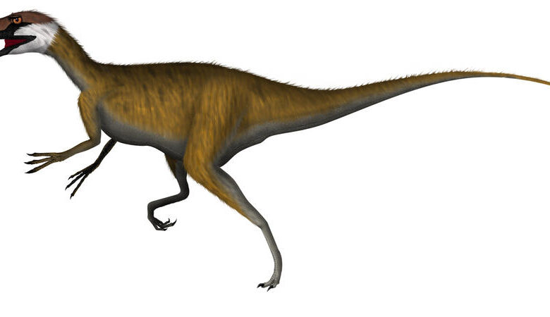 Staurikosaurus